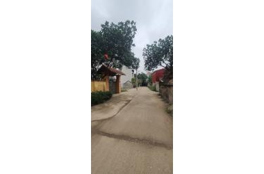 Bán gấp đất Đại Định- Xã Tam Hưng, Thanh Oai, Hà Nội diện tích 116m2